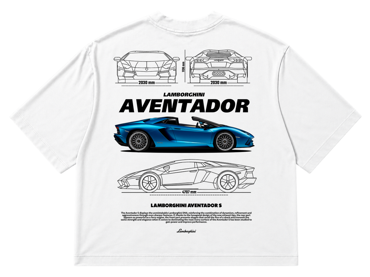 Lamborghini Aventador S